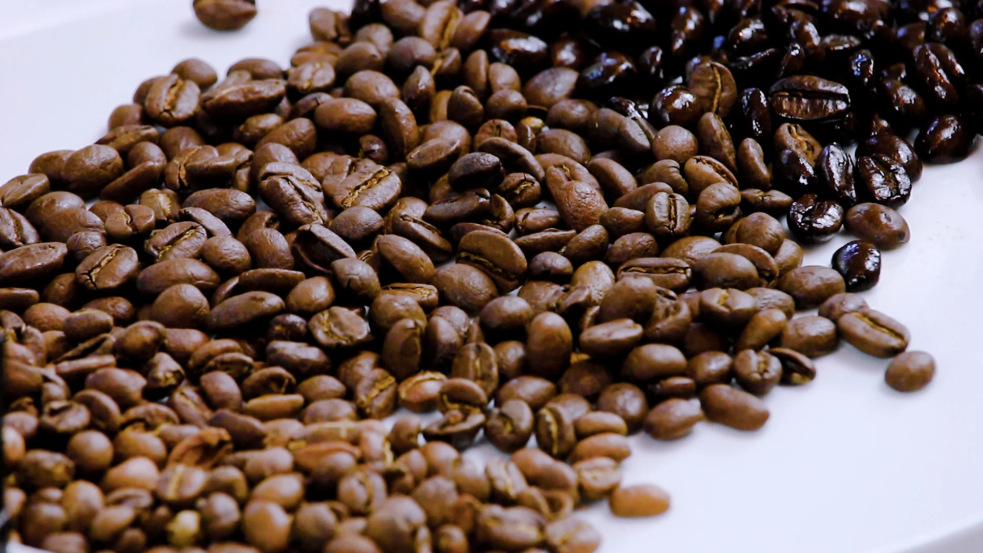 Close up of roasted coffee beans spread across a white surface